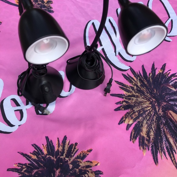 Lap - Picture 3 of 12